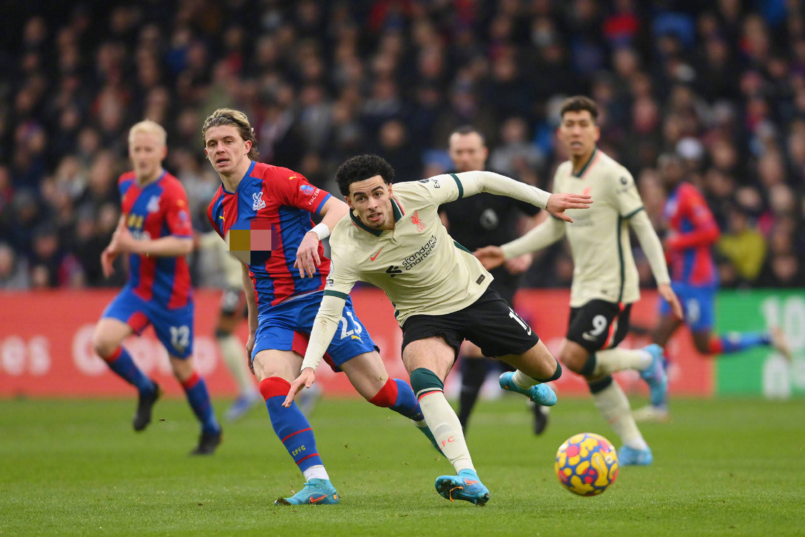 江苏签约双 江苏签约双