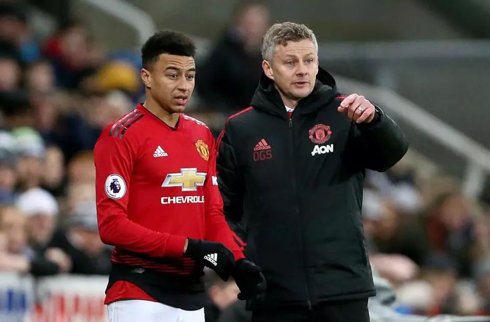 他们以惊人 他们以惊人