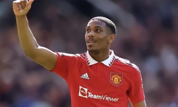 这不仅引发 这不仅引发